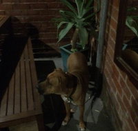 Biff's Bar and Grill - Events Australia