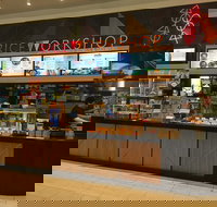 Rice Workshop Northland - Events Australia