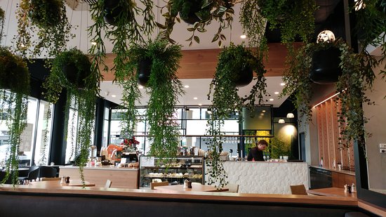 Burnside VIC Events Australia