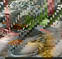 Binga  Mooch - Events Australia