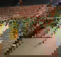 Imm Oon - Events Australia