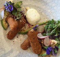 Round Bird Can't Fly - Events Australia