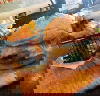 Degani - Events Australia