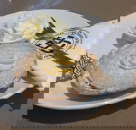 Jamaica Blue Knox City 2 - Events Australia