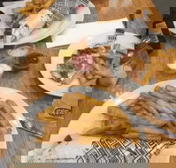 Schnitz - Events Australia