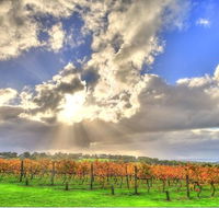 Max's at Red Hill Estate - Accommodation Europe