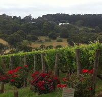 Paringa Estate - Accommodation Europe