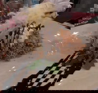 Marrakech Restaurant - Tourism Bookings