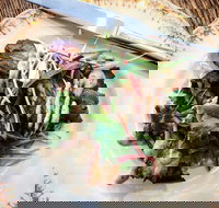 Frank and Connie's Kitchen - Tourism Bookings