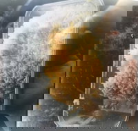 Noodle Dynasty - Events Australia