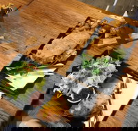 Two Little Owls Cafe - Events Australia