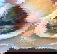 Avenel Cafe - Events Australia