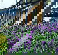 Dunkeld Old Bakery - Events Australia