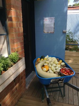 Jacican - Events Australia 0