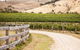 McIvor Estate Cellar Door - thumb 0