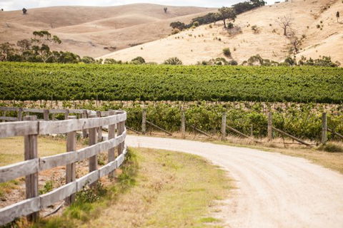 McIvor Estate Cellar Door - Events Australia 0