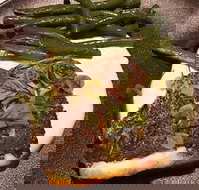 Cento 22 - Accommodation Europe