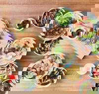 Motto Motto Japanese Kitchen Macquarie Centre - Events Australia