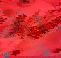 Belicious Indian Restaurant - Events Australia