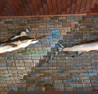 Tonys pizza house - Events Australia