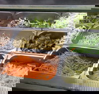 Delicious Noodle - Events Australia