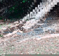 Port McQuarie - Events Australia