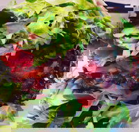 Bistro 6 Camden - Events Australia