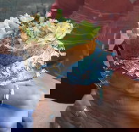 Cedar - Events Australia