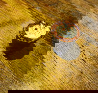 Janeks Cafe - Events Australia