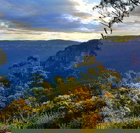 Milkbar - Events Australia