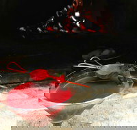 Palette Diner - Events Australia