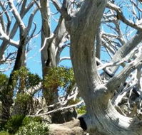 Alpine Eyre - Accommodation Europe