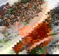 Amillys Cafe - Events Australia