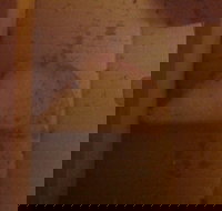 Domino's Pizza - Events Australia