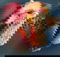 Whale Restaurant - Events Australia