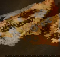 Zannies Pizzas - Events Australia