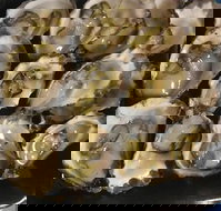 Armstrongs Oysters - Tourism Bookings