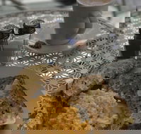 Blu J's - Events Australia