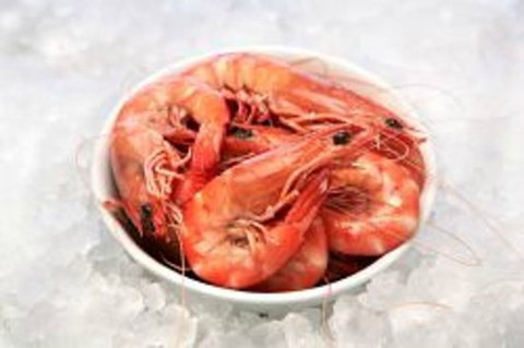 Blue Wave Seafood - Events Australia 0