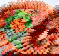 Evans Head Fishermens Co-Op - Events Australia