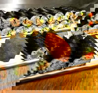 Freewave Sushi  Burgers - Events Australia