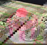 Moruya Ice Cream Parlour - Events Australia