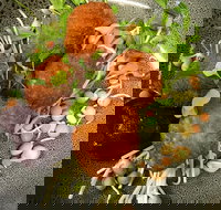 Ollie Masons Cafe - Events Australia