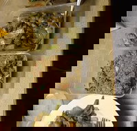 Holbrook Chinese Restaurant - Events Australia