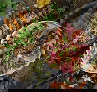 OlleyvilleShaw - Events Australia