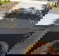 Queen of Tarts Toronto  Cessnock - Events Australia