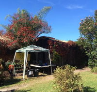 Tutti Fruitti - Events Australia