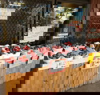 The Pines Orchard - Events Australia