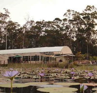 Abundance Cafe and Garden Centre - Events Australia