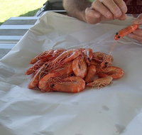 Ballina Fishermen's Co-op - Events Australia